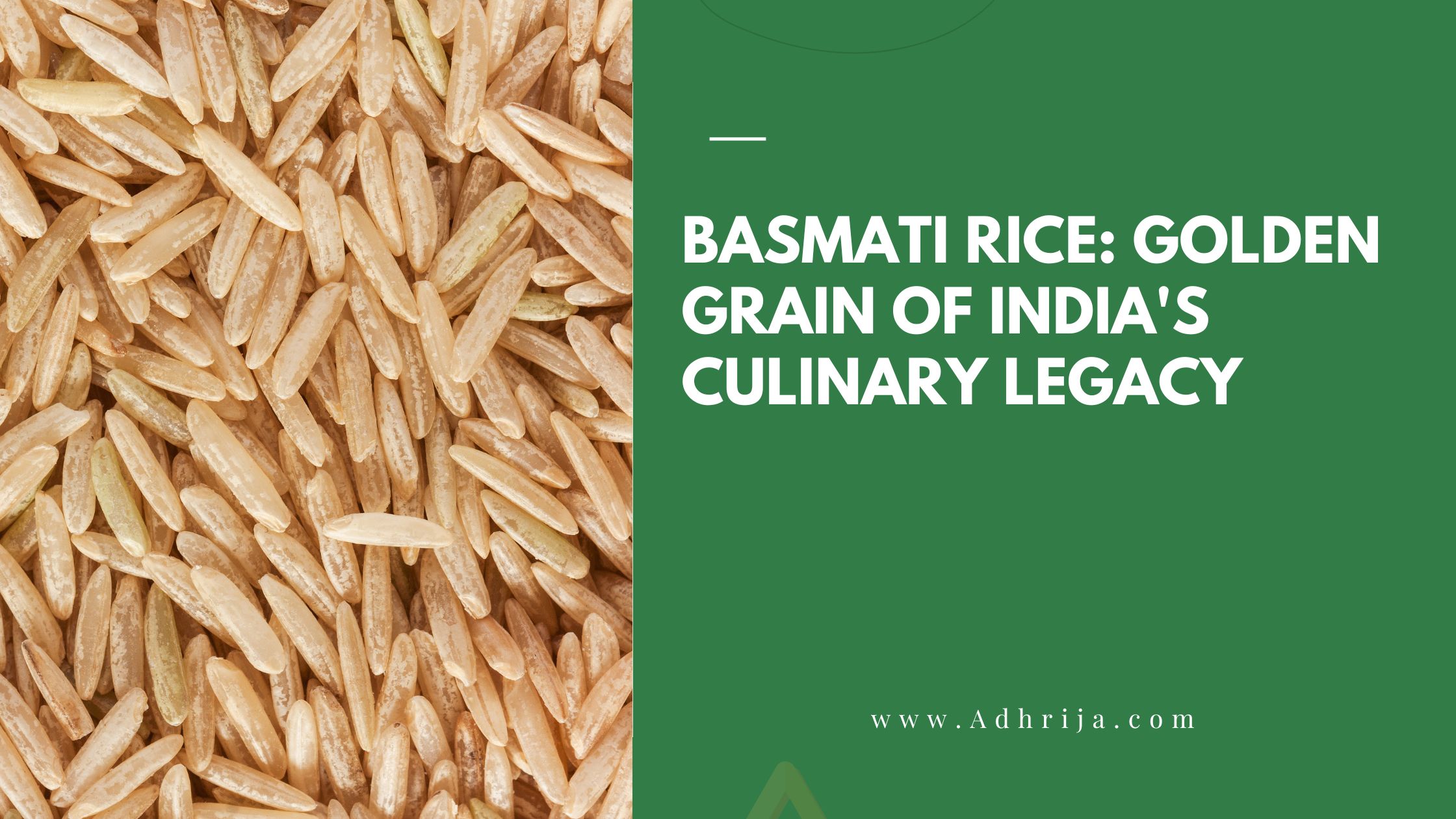 Basmati Rice The Golden Grain of India's Culinary Legacy