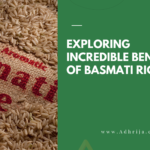 Exploring-the-Incredible-Benefits-of-Basmati-Rice