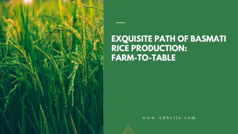 Exquisite Path of Basmati Rice Production A Farm-to-Table