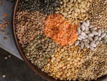 cereals pulses