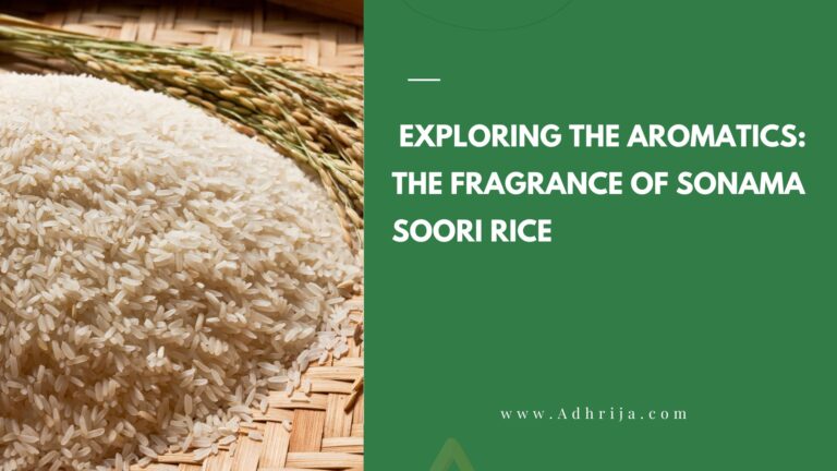 Exploring the Aromatics_ The Fragrance of Sonama Soori Rice